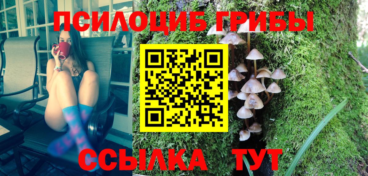 Псилоцибиновые грибы Psilocybine cubensis Прохладный