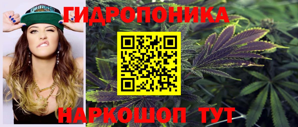 Бошки Шишки марихуана Прохладный
